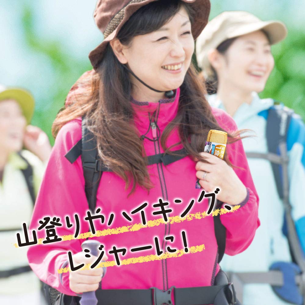バランスオンminiケーキ チョコブラウニー 20個