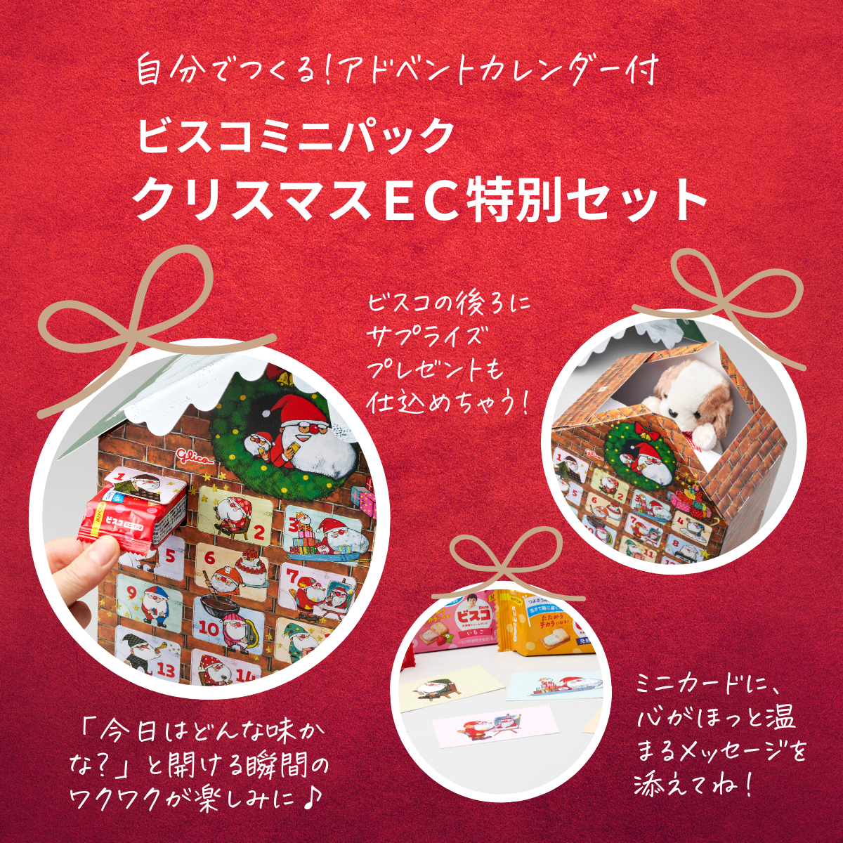 ビスコミニパック　クリスマス　EC特別セット