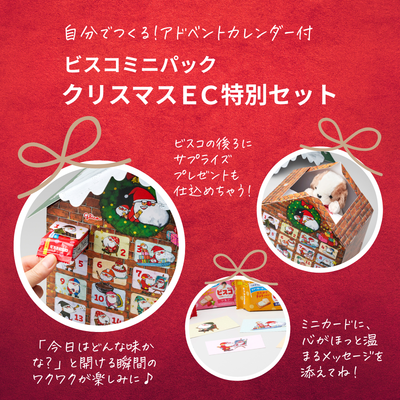 ビスコミニパック　クリスマス　EC特別セット