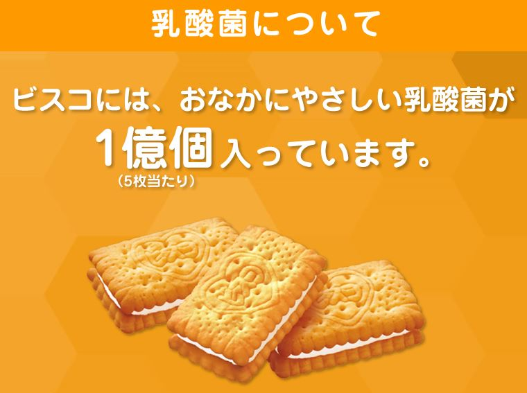 ビスコギフト缶 100枚入り