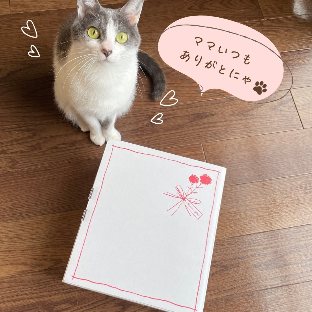 母の日】ご褒美カフェタイムBOX（送料込み） – グリコダイレクトショップ