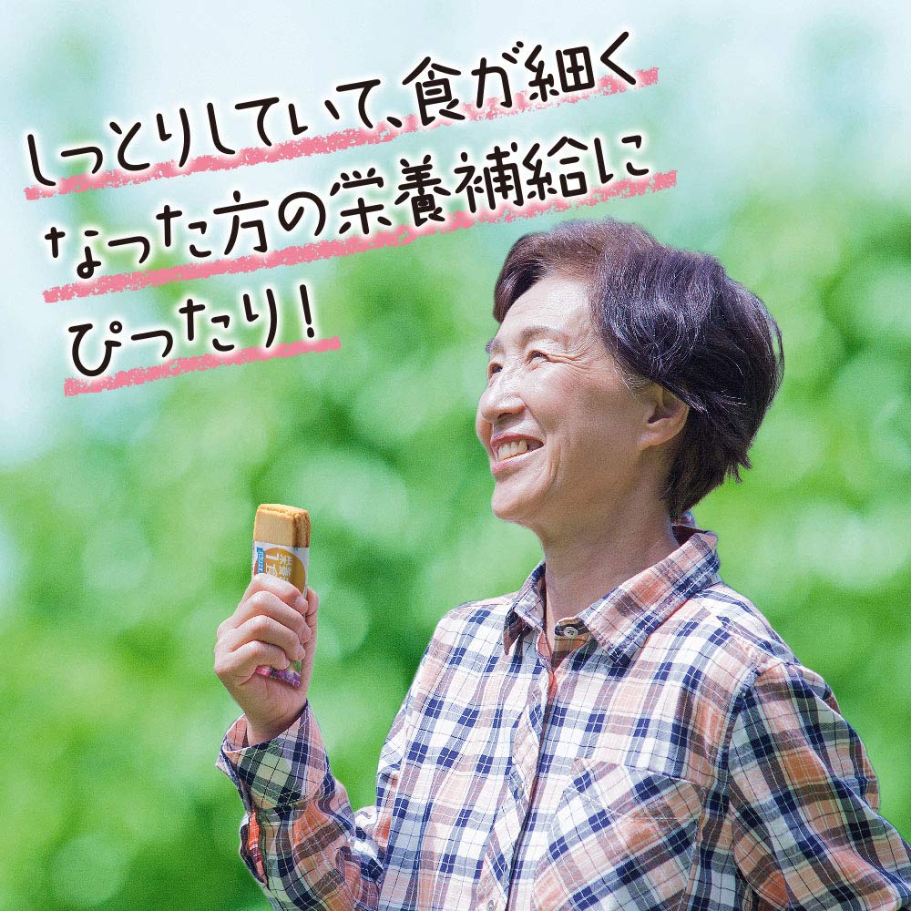バランスオンminiケーキ チーズケーキ 20個