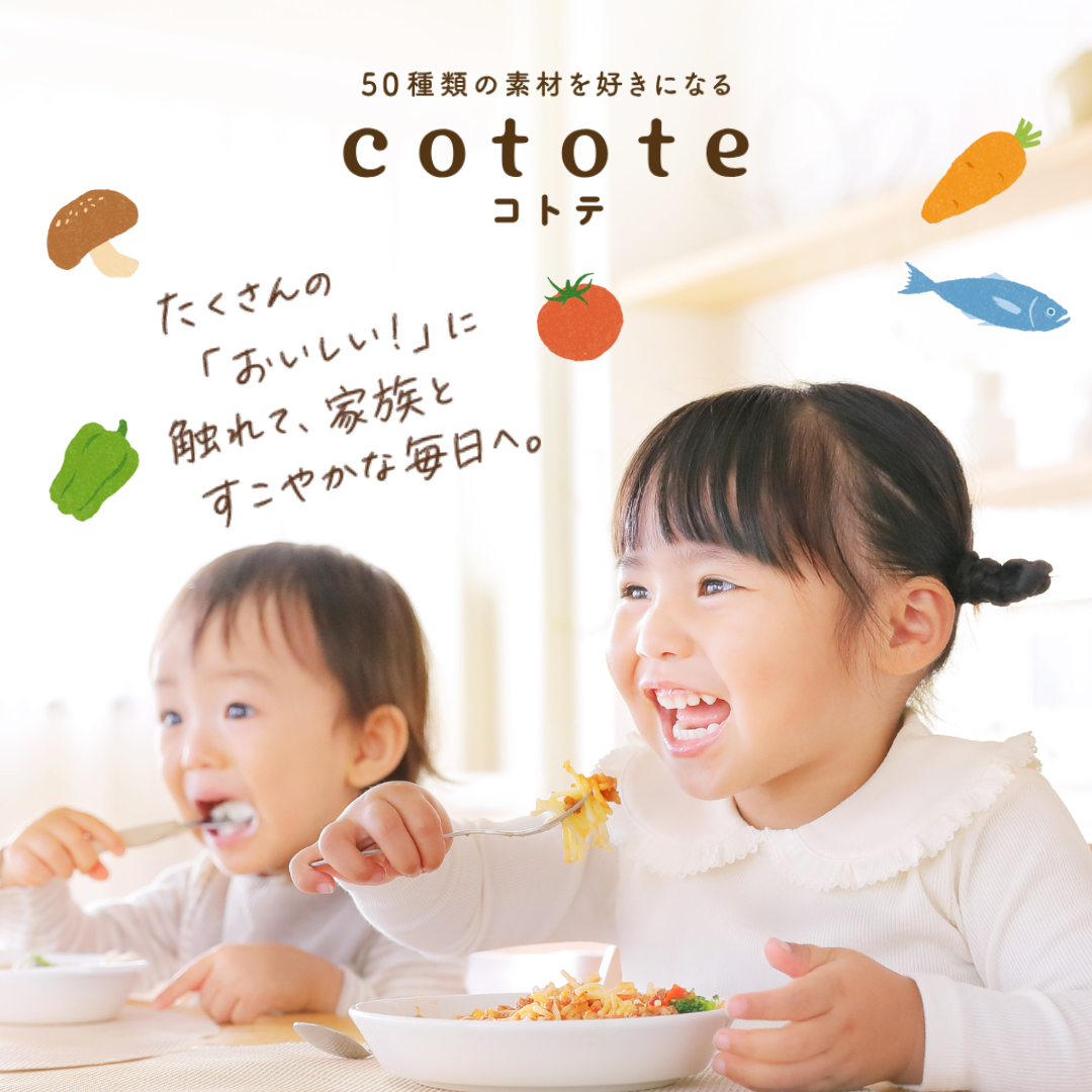 cotote   8食セット　今回のみお届け