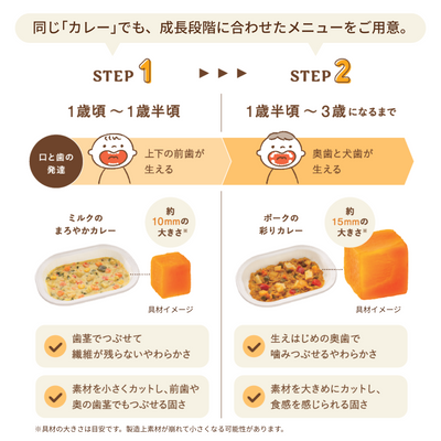 cotote   8食セット　今回のみお届け