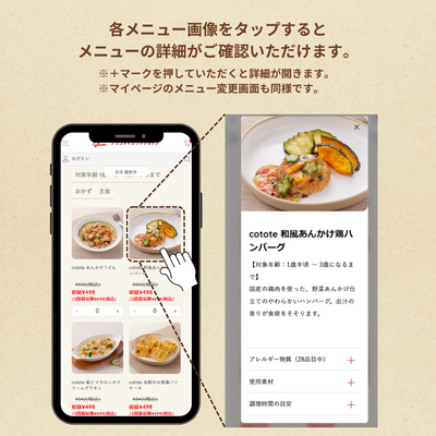 【定期】cotote   8食セット　4週間毎お届け