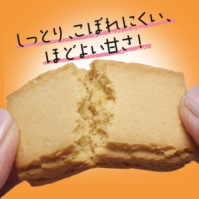 バランスオンminiケーキ チーズケーキ 20個